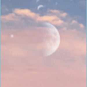 Meet your Posher, Leann